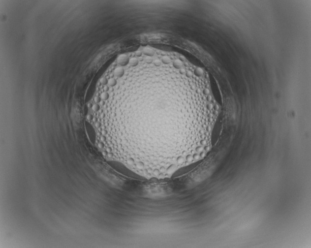 X0000073510761200608211739