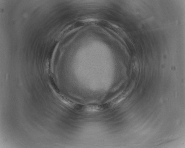 X0000073510767200608211740