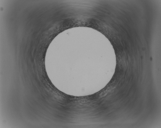 X0000073510769200608211739
