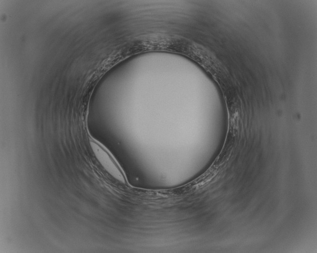 X0000073510772200608211739