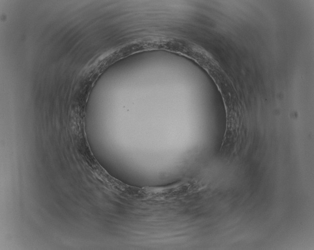 X0000073510773200608211739