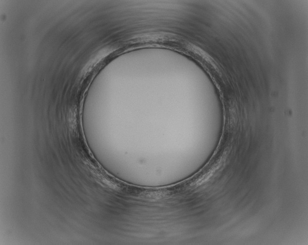 X0000073510778200608211739