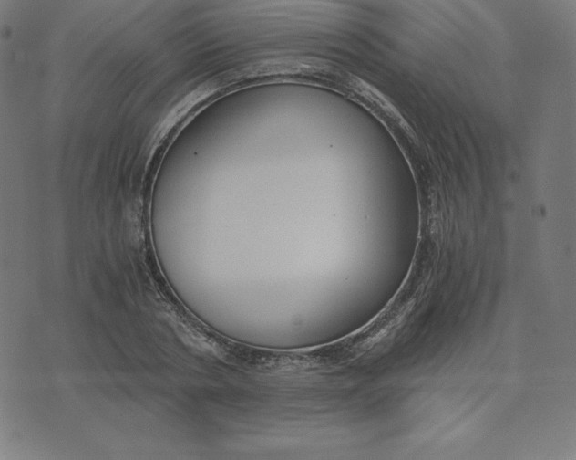 X0000073510786200608211738
