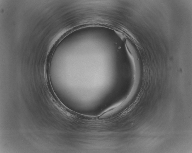 X0000073510788200608211738