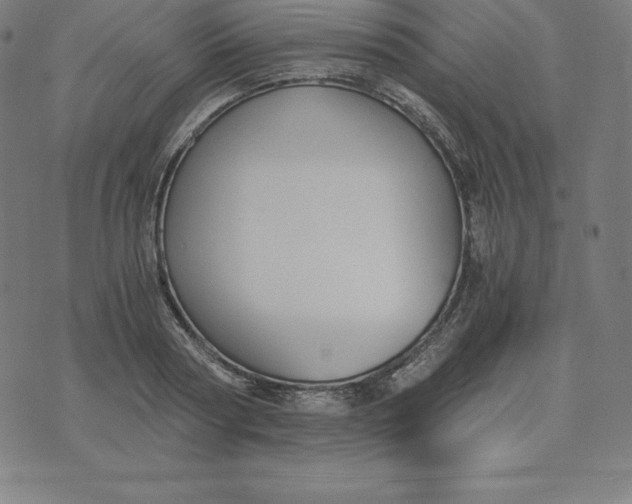X0000073510794200608211738