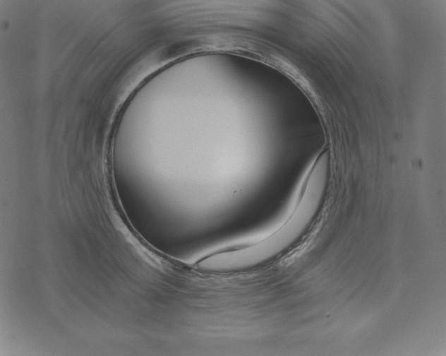 X0000073510803200608211738