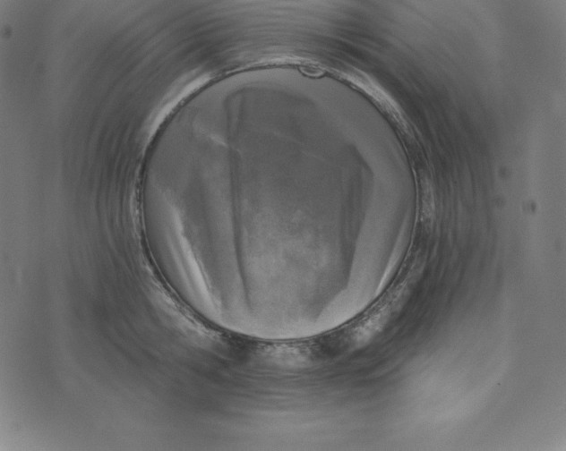 X0000073510806200608211738