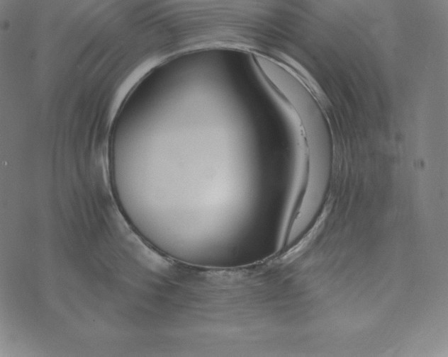 X0000073510812200608211738