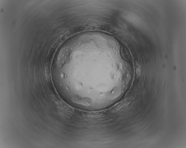 X0000073510819200608211737