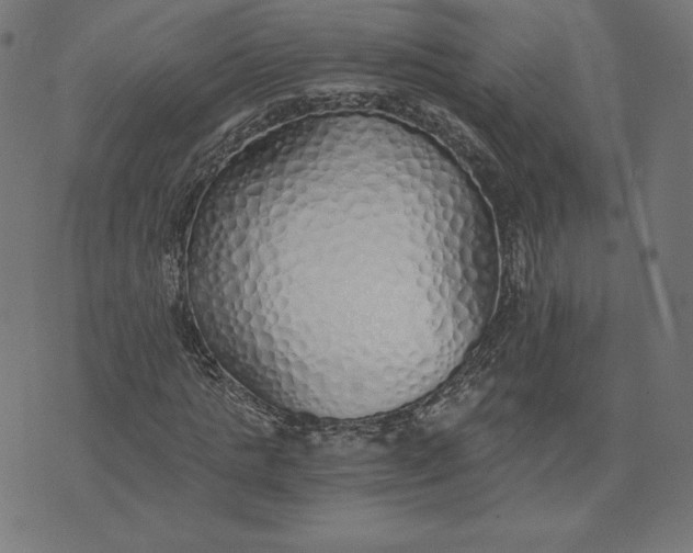 X0000073510821200608211737