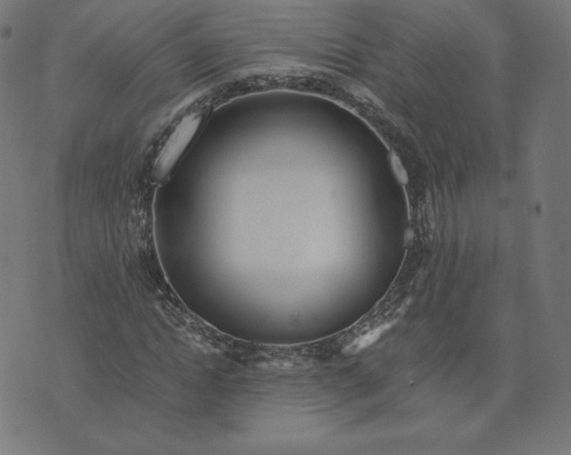 X0000073510822200608211737