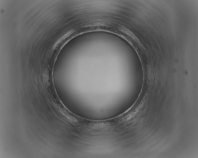 X0000073510826200608211737