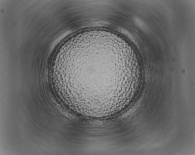 X0000073510827200608211737