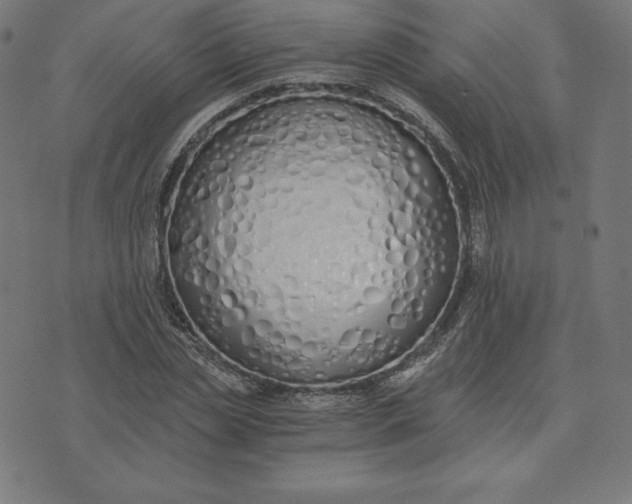 X0000073510829200608211737