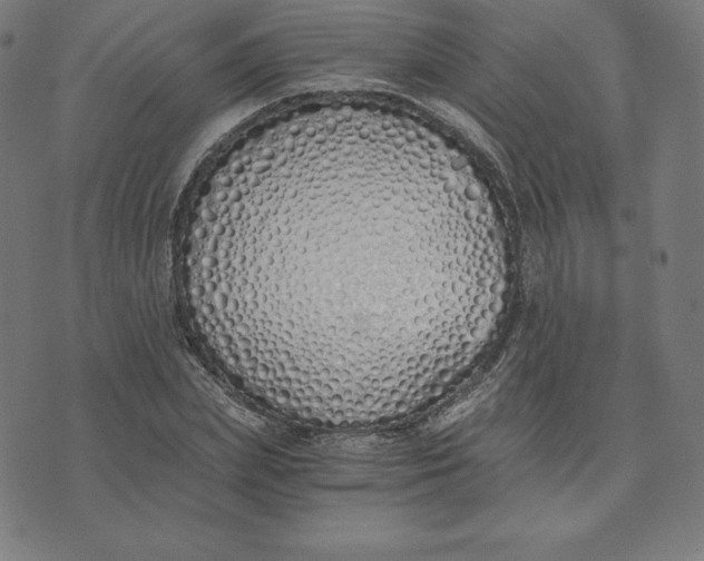X0000073510831200608211737