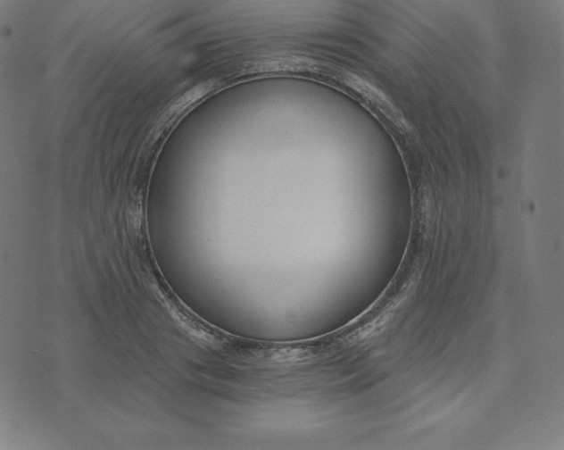 X0000073510841200608211738