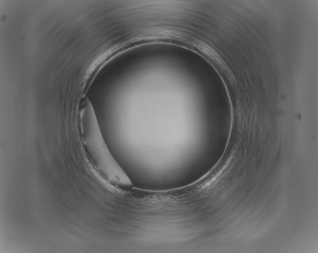 X0000073510842200608211738
