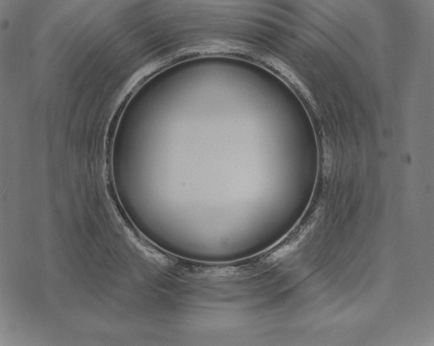 X0000073510845200608211738