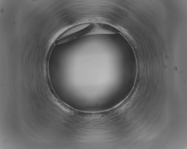 X0000073510846200608211738