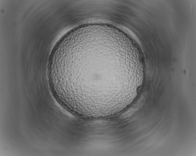 X0000073510847200608211738