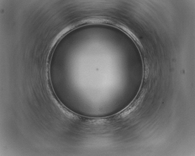 X0000073510853200608211738