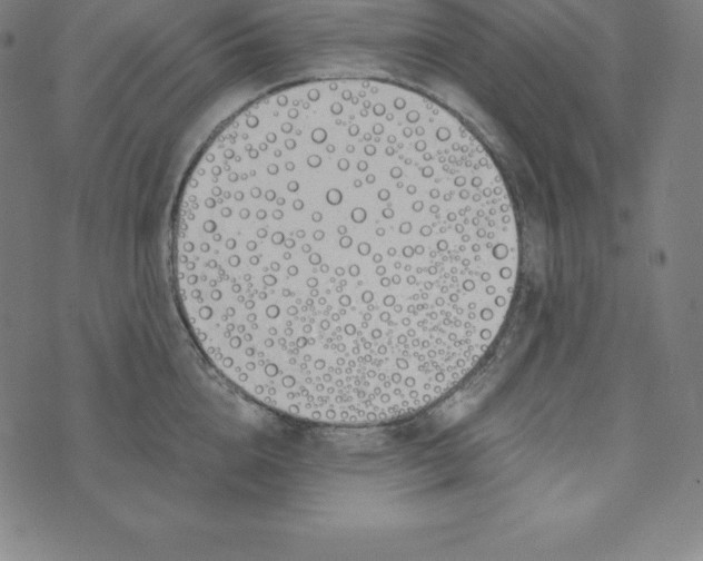X0000073510856200608211738