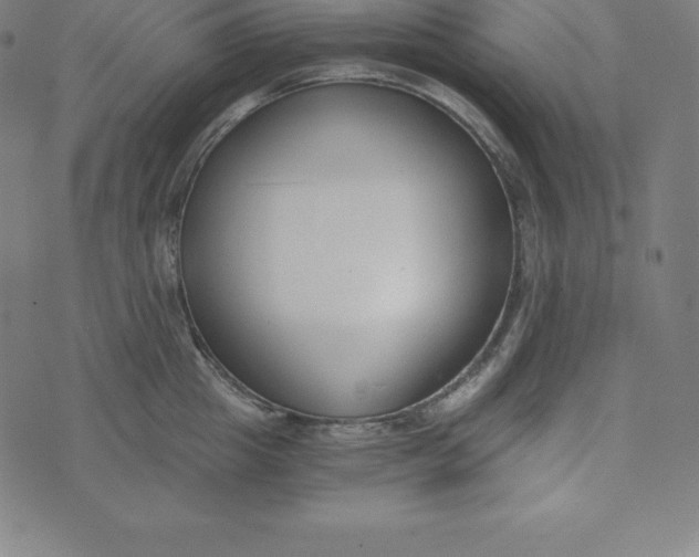 X0000073510857200608211738