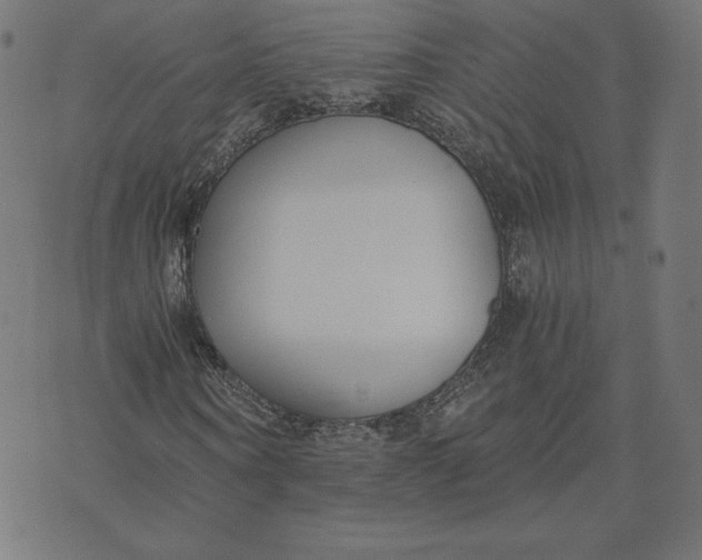 X0000073510866200608211737