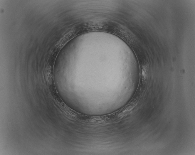 X0000073510867200608211737