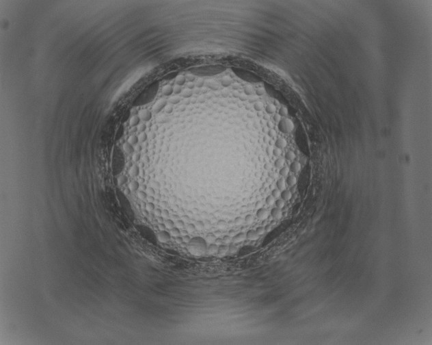 X0000073510871200608211737