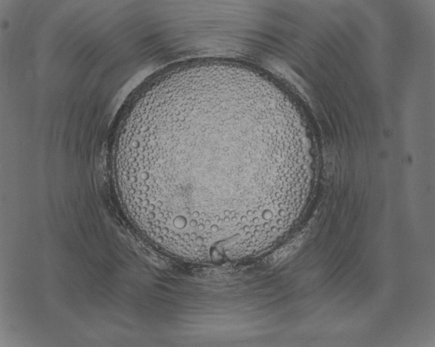 X0000073510875200608211737