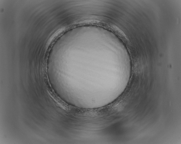 X0000073510882200608211737