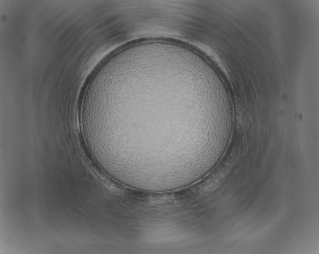 X0000073510887200608211737