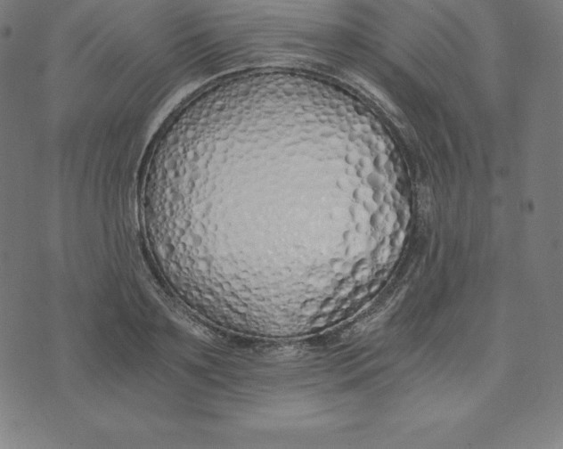X0000073510891200608211737