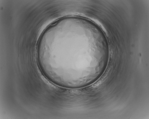 X0000073510903200608211737