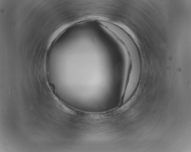 X0000073510910200608211736