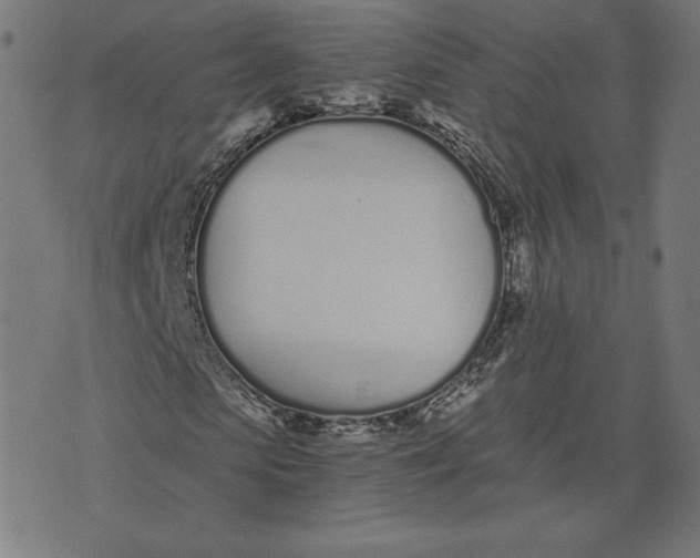 X0000073510913200608211736