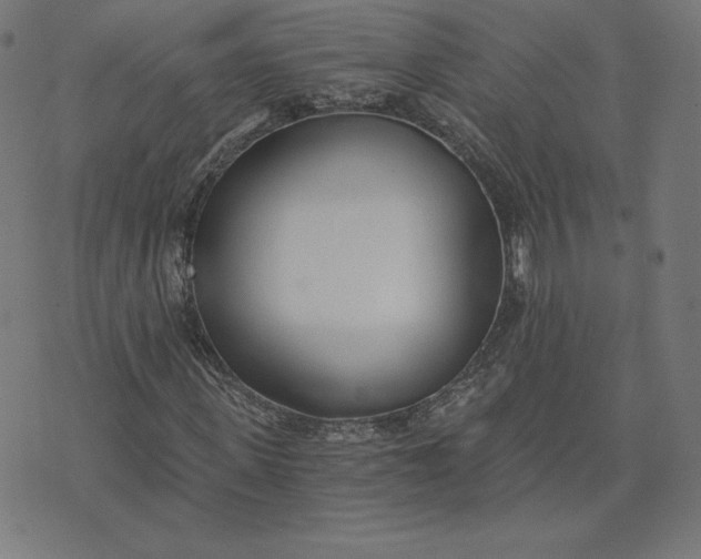 X0000073510915200608211736