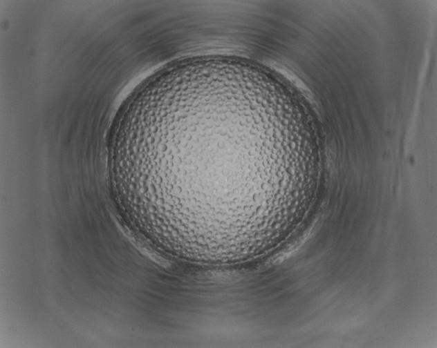 X0000073510933200608211736