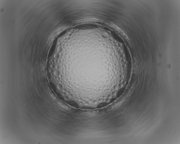 X0000073510937200608211736