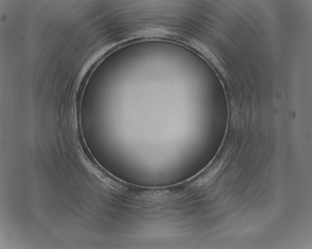 X0000073510939200608211736