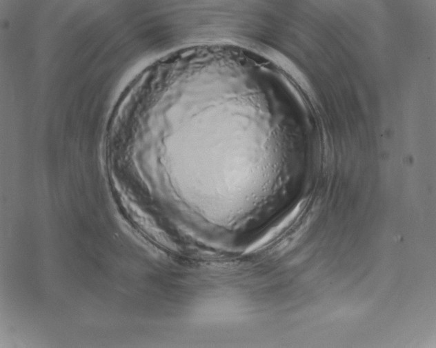 X0000073510958200608211736