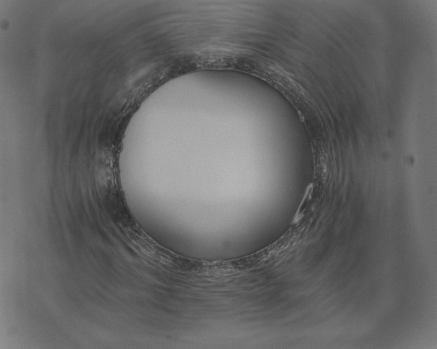 X0000073510964200608211736
