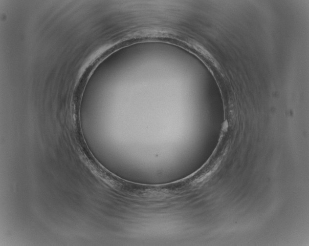 X0000073510981200608211735