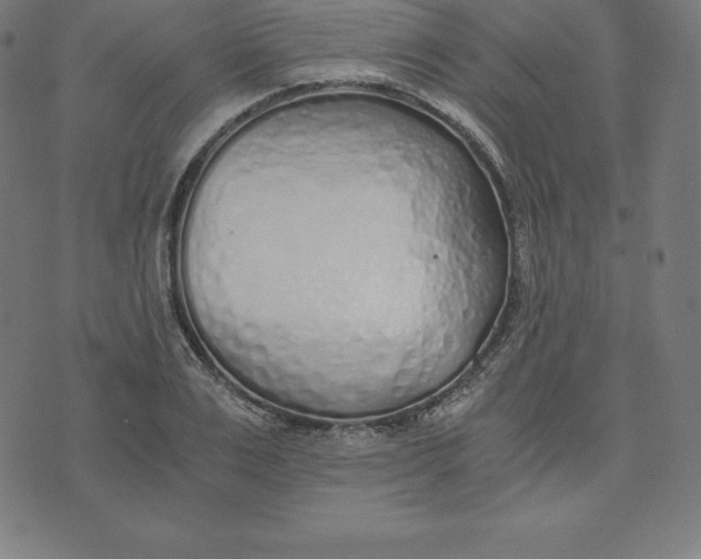 X0000073510983200608211735