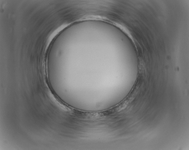 X0000073511003200608211735