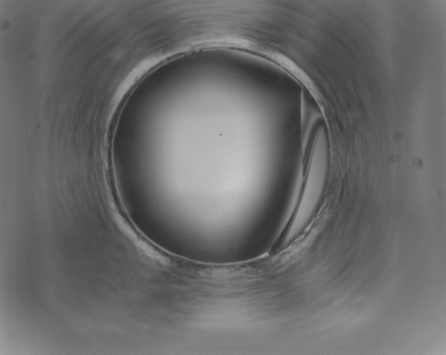 X0000073511005200608211735