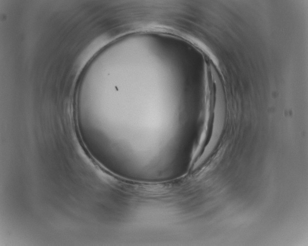 X0000073511007200608211735