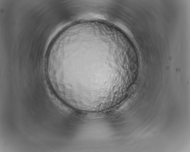 X0000073511008200608211735