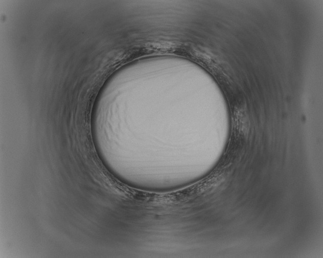 X0000073511009200608211734